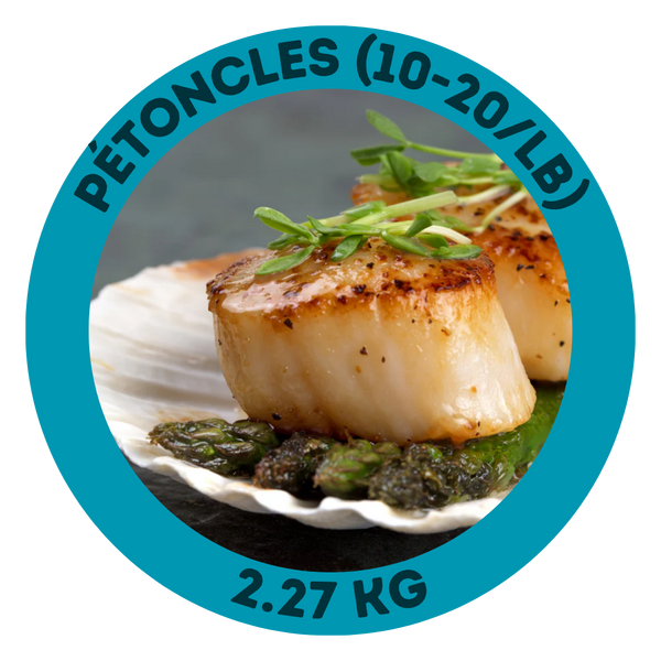 Pétoncles (10-20/lb)