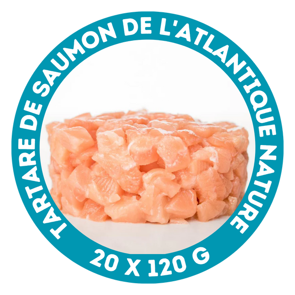 Tartare de saumon de l'Atlantique nature