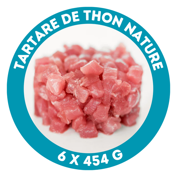 Tartare de thon nature