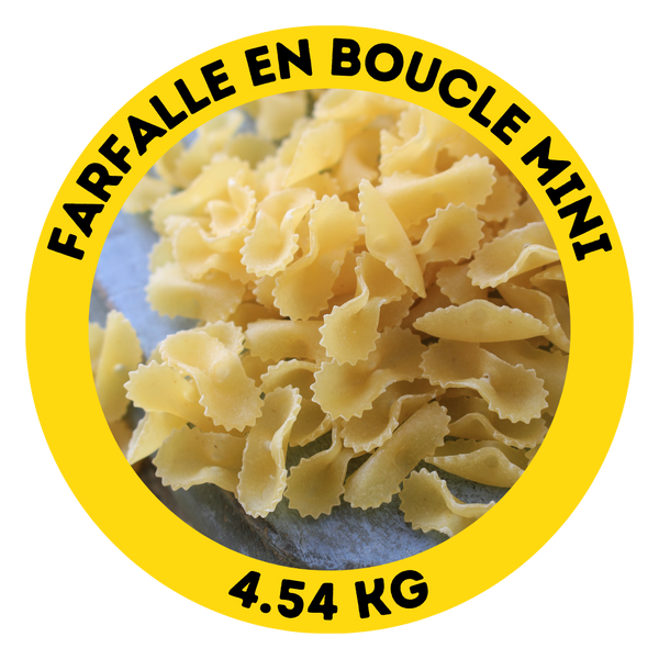 Farfalle en boucle mini