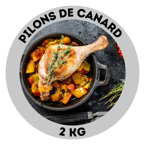 Pilons de canard