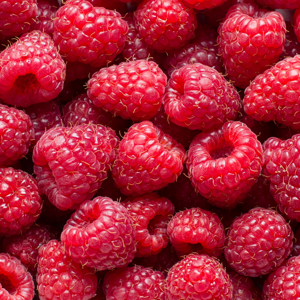 Framboises surgelées